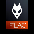 flac音乐播放器安卓版1.1 v1.1
