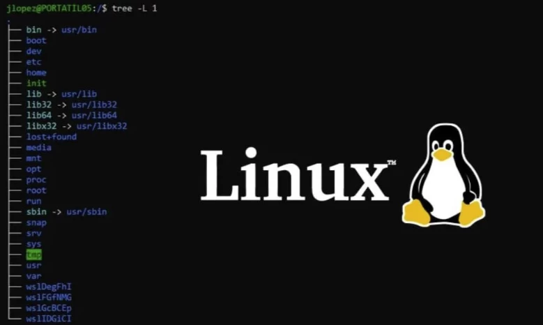 linux从入门到精通