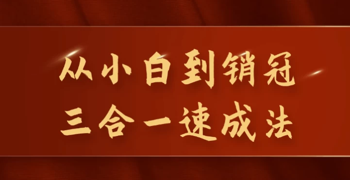 从小白到销冠三合一速成法