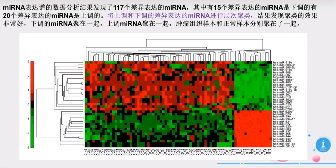 生物信息学案例分析进阶课程-第1张图片-460G