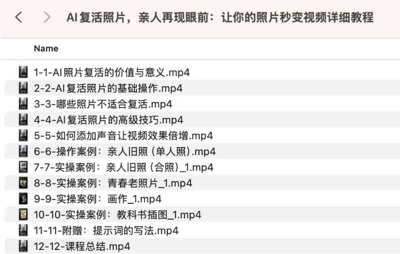 AI复活照片，亲人再现眼前：让你的照片秒变视频详细教程-第1张图片-460G