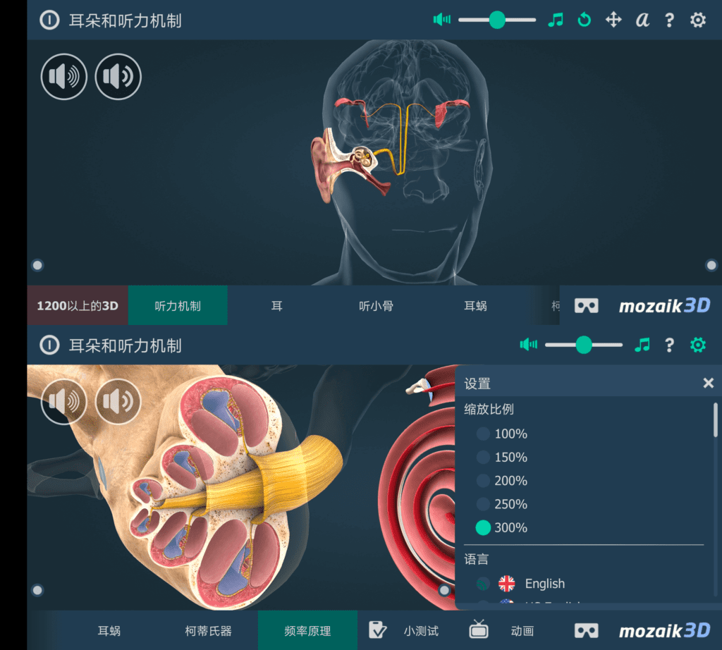 Android The mechanism of hearing educational VR 3D 人体耳朵_v1.27