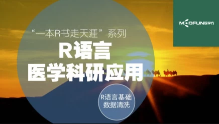 R语言快速入门与数据清洗-一本R书走天涯系列课程-第1张图片-460G