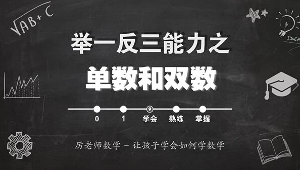 厉老师数学《小学数学系统思维课》附带讲义和配套习题